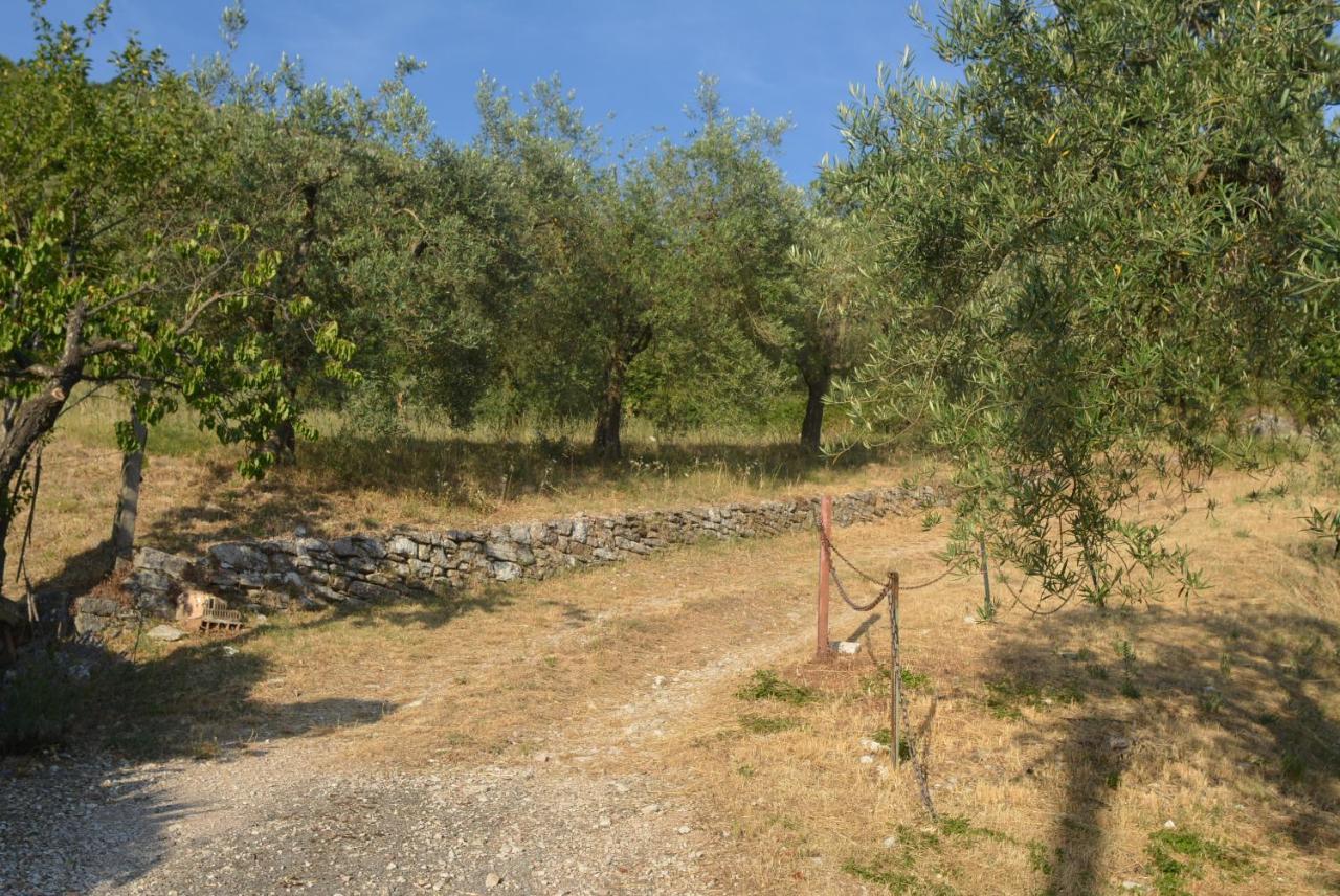 Villa Mischianti Gubbio Luaran gambar